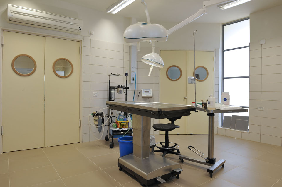 חדר ניתוח - בית החולים לחיות הבר