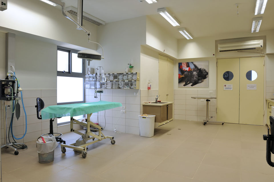 חדר הטיפולים - בית החולים לחיות הבר